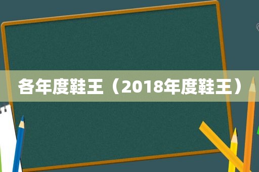 各年度鞋王（2018年度鞋王）