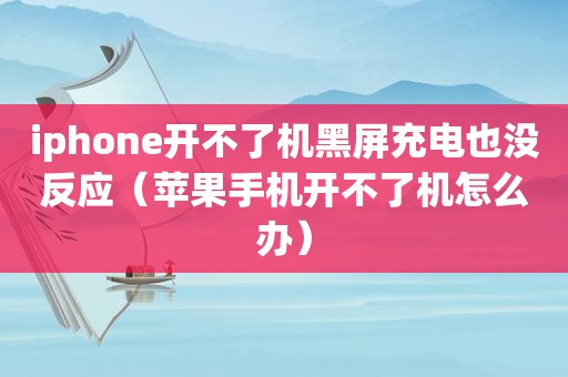 iphone开不了机黑屏充电也没反应（苹果手机开不了机怎么办）