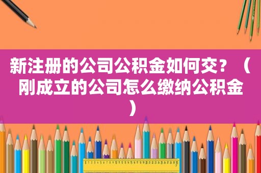 新注册的公司公积金如何交？（刚成立的公司怎么缴纳公积金）