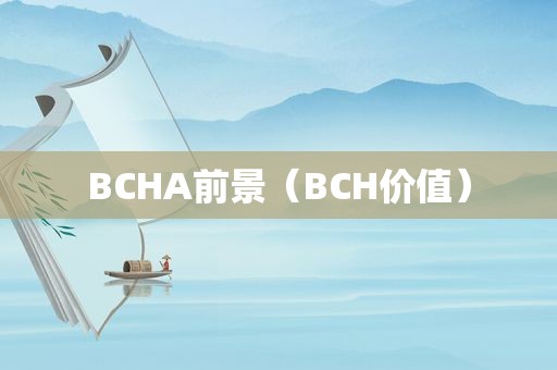 BCHA前景（BCH价值）