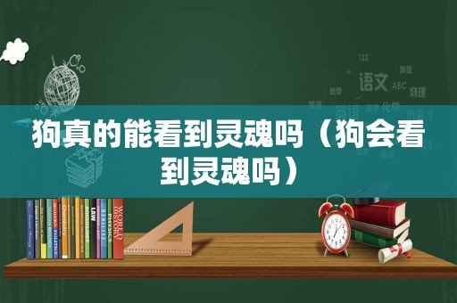 狗真的能看到灵魂吗（狗会看到灵魂吗）