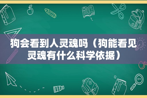 狗会看到人灵魂吗（狗能看见灵魂有什么科学依据）