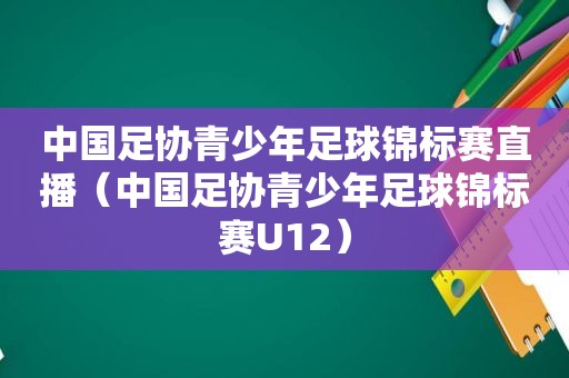 中国足协青少年足球锦标赛直播（中国足协青少年足球锦标赛U12）