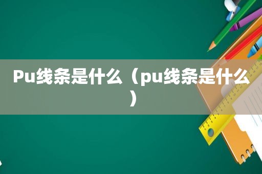 Pu线条是什么（pu线条是什么）