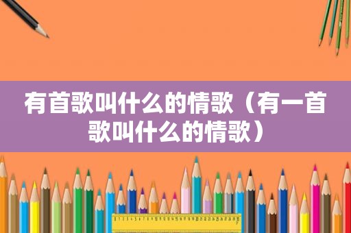 有首歌叫什么的情歌（有一首歌叫什么的情歌）