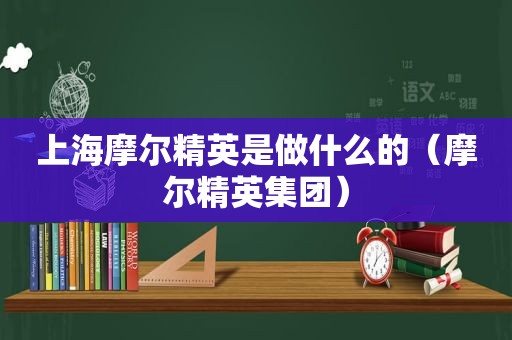 上海摩尔精英是做什么的（摩尔精英集团）