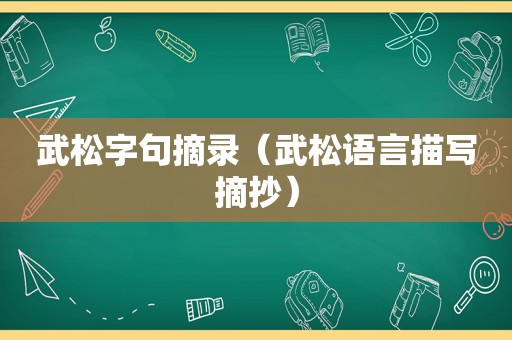 武松字句摘录（武松语言描写摘抄）