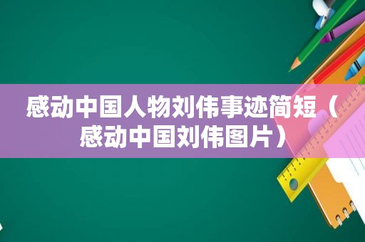 感动中国人物刘伟事迹简短（感动中国刘伟图片）