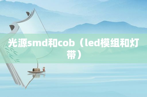 光源 *** d和cob（led模组和灯带）