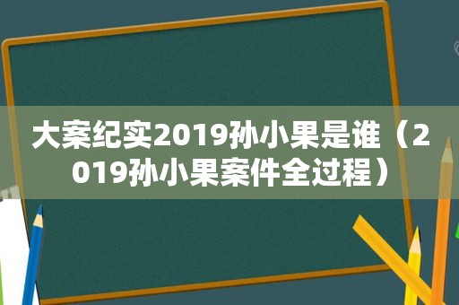 大案纪实2019孙小果是谁（2019孙小果案件全过程）