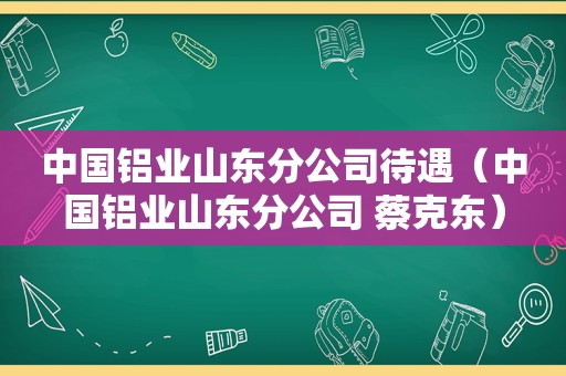 中国铝业山东分公司待遇（中国铝业山东分公司 蔡克东）