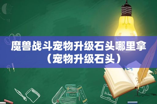 魔兽战斗宠物升级石头哪里拿（宠物升级石头）