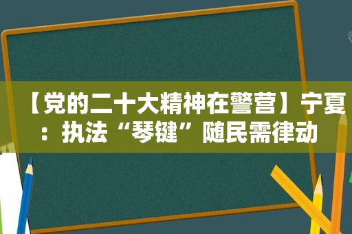 【党的二十大精神在警营】宁夏：执法“琴键”随民需律动