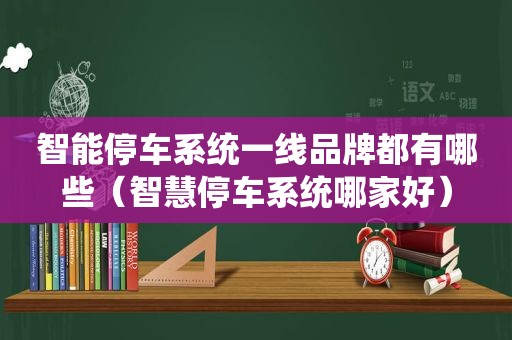 智能停车系统一线品牌都有哪些（智慧停车系统哪家好）