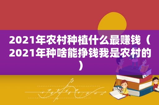 2021年农村种植什么最赚钱（2021年种啥能挣钱我是农村的）