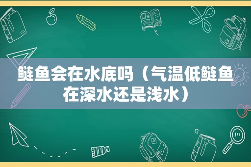 鲢鱼会在水底吗（气温低鲢鱼在深水还是浅水）