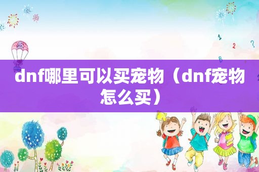 dnf哪里可以买宠物（dnf宠物怎么买）