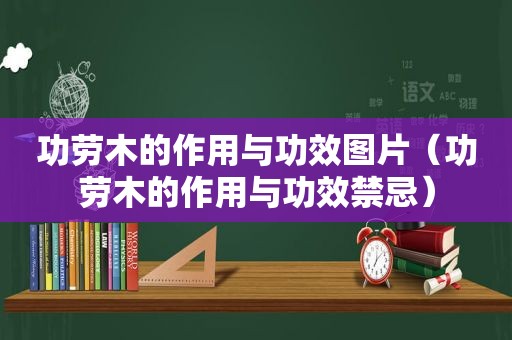 功劳木的作用与功效图片（功劳木的作用与功效禁忌）