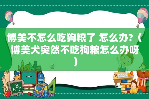 博美不怎么吃狗粮了 怎么办?（博美犬突然不吃狗粮怎么办呀）