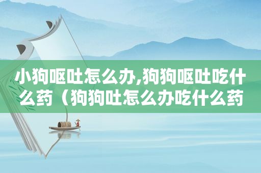 小狗呕吐怎么办,狗狗呕吐吃什么药（狗狗吐怎么办吃什么药）