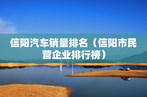 信阳汽车销量排名（信阳市民营企业排行榜）