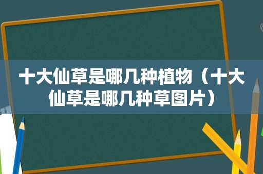 十大仙草是哪几种植物（十大仙草是哪几种草图片）