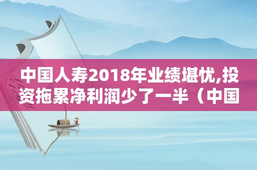 中国人寿2018年业绩堪忧,投资拖累净利润少了一半（中国人寿第一季度净利润）