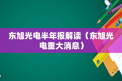 东旭光电半年报解读（东旭光电重大消息）