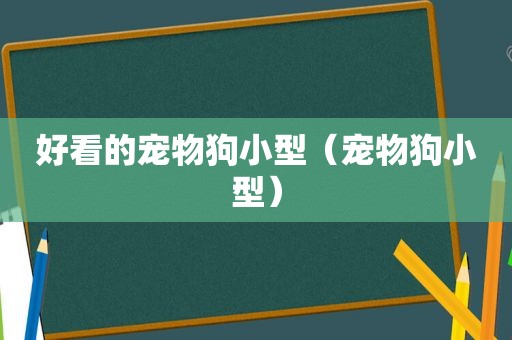 好看的宠物狗小型（宠物狗小型）