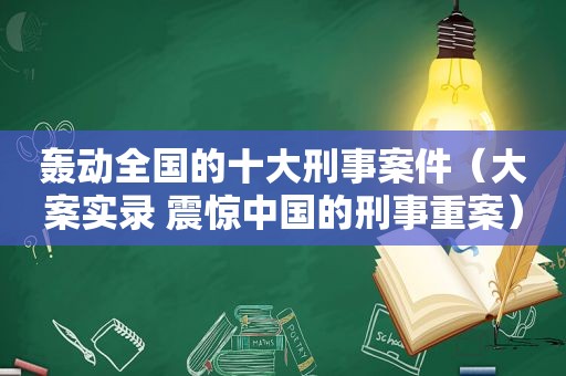 轰动全国的十大刑事案件（大案实录 震惊中国的刑事重案）