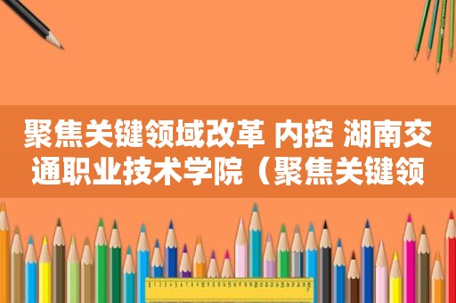 聚焦关键领域改革 内控 湖南交通职业技术学院（聚焦关键领域有哪些）