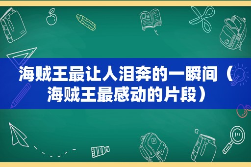 海贼王最让人泪奔的一瞬间（海贼王最感动的片段）