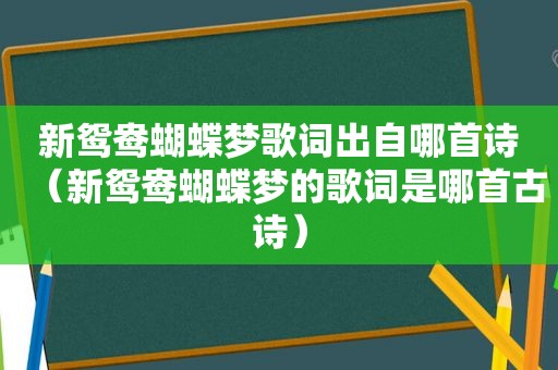 新鸳鸯蝴蝶梦歌词出自哪首诗（新鸳鸯蝴蝶梦的歌词是哪首古诗）