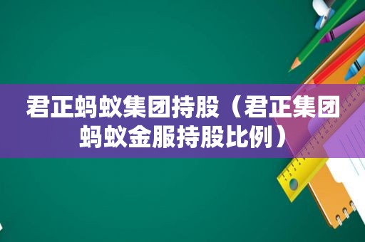 君正蚂蚁集团持股（君正集团蚂蚁金服持股比例）