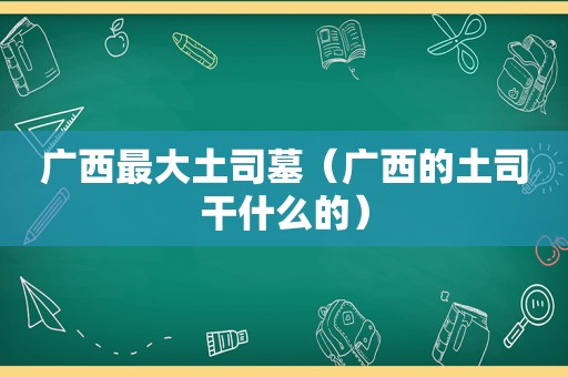 广西最大土司墓（广西的土司干什么的）