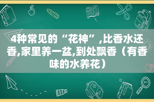 4种常见的“花神”,比香水还香,家里养一盆,到处飘香（有香味的水养花）