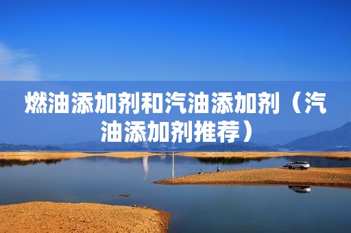 燃油添加剂和汽油添加剂（汽油添加剂推荐）