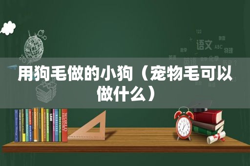 用狗毛做的小狗（宠物毛可以做什么）