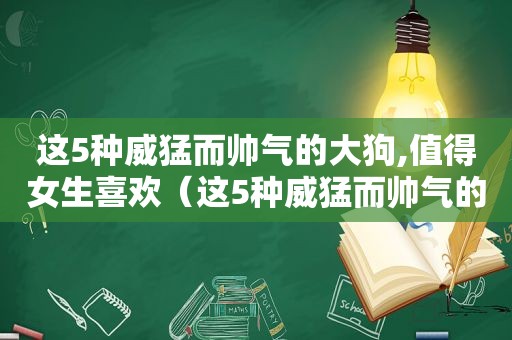 这5种威猛而帅气的大狗,值得女生喜欢（这5种威猛而帅气的大狗,值得女生喜欢的狗）