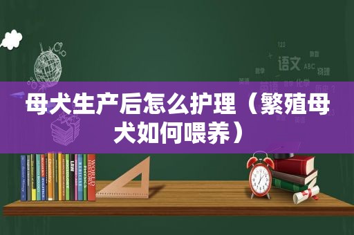 母犬生产后怎么护理（繁殖母犬如何喂养）