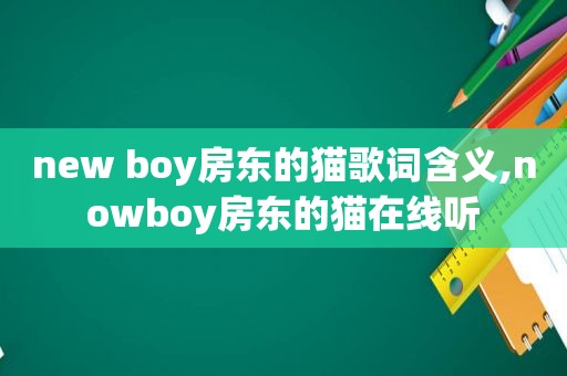 new boy房东的猫歌词含义,nowboy房东的猫在线听