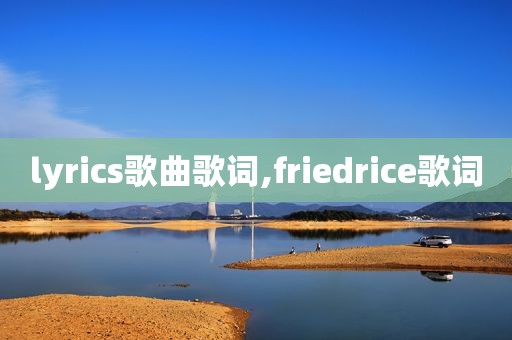 lyrics歌曲歌词,friedrice歌词