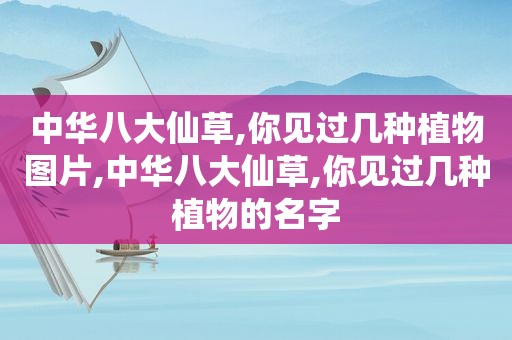 中华八大仙草,你见过几种植物图片,中华八大仙草,你见过几种植物的名字