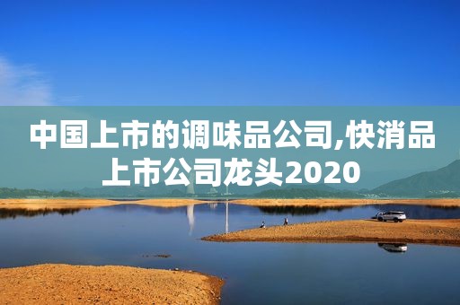 中国上市的调味品公司,快消品上市公司龙头2020