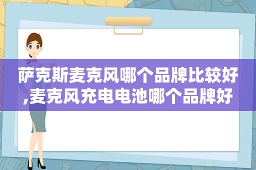 萨克斯麦克风哪个品牌比较好,麦克风充电电池哪个品牌好