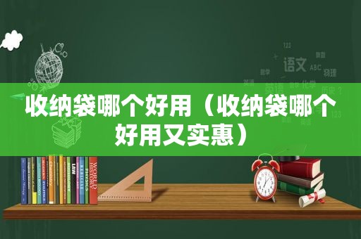 收纳袋哪个好用（收纳袋哪个好用又实惠）