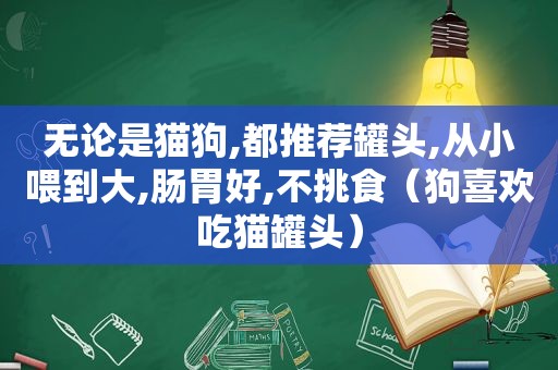 无论是猫狗,都推荐罐头,从小喂到大,肠胃好,不挑食（狗喜欢吃猫罐头）