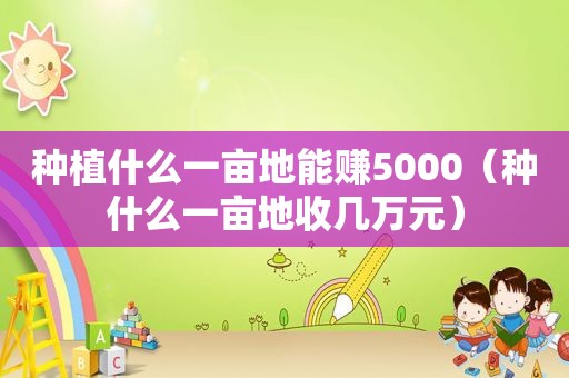 种植什么一亩地能赚5000（种什么一亩地收几万元）