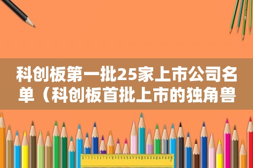 科创板第一批25家上市公司名单（科创板首批上市的独角兽企业）