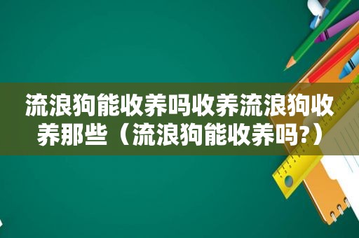 流浪狗能收养吗收养流浪狗收养那些（流浪狗能收养吗?）